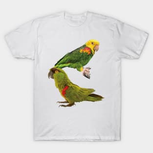 Parrots T-Shirt